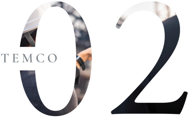 TEMCO02