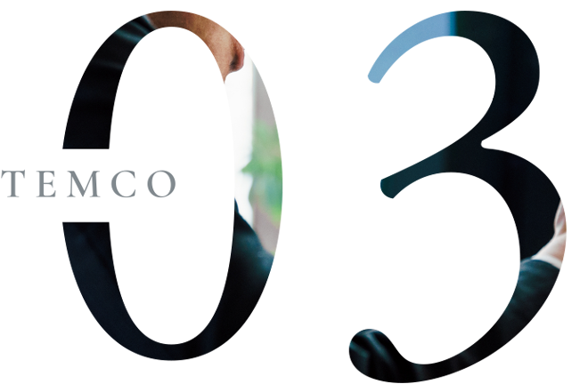 TEMCO03